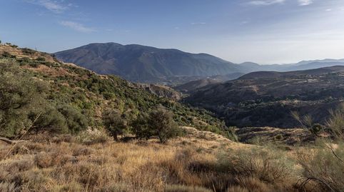 Terreno en Venta en la Alpujarra, Cañar Oportunidad Única en Entorno Rural Encantador, immagine 2