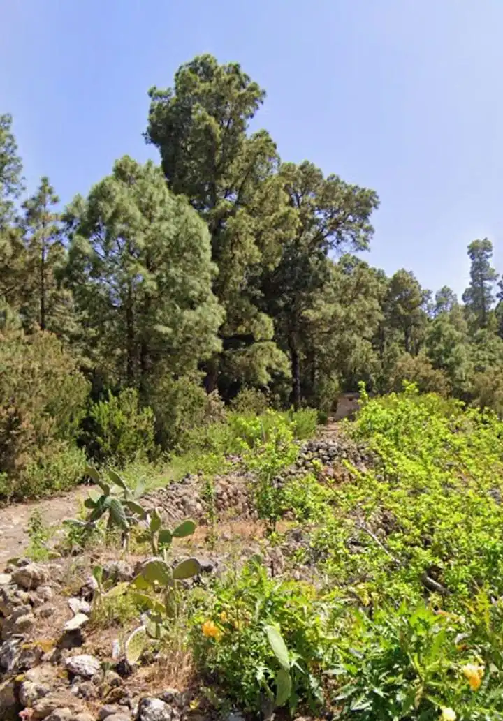 Terreno en venta en Icod de los Vinos