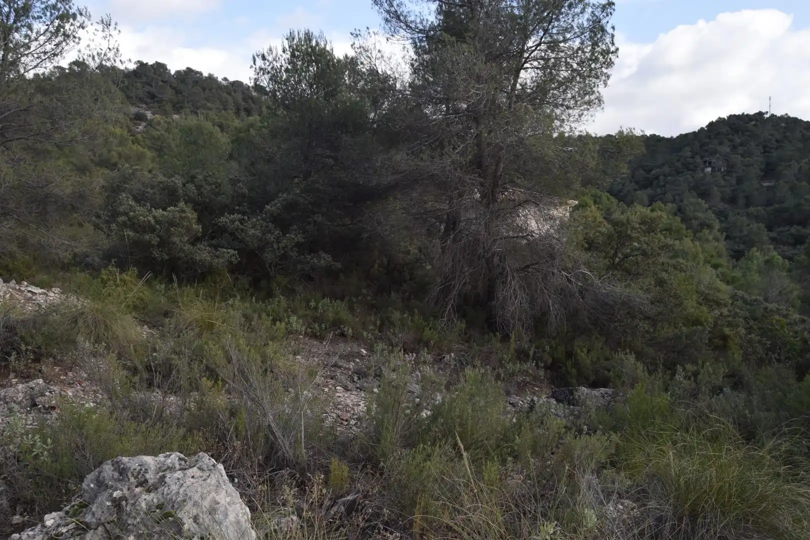 Residencial en venta en Albalate de Zorita