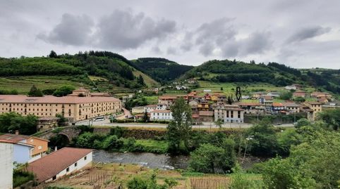 BO PALOMAR DE ABAJO CANGAS DE NARCEA ASTURIAS, imatge 4