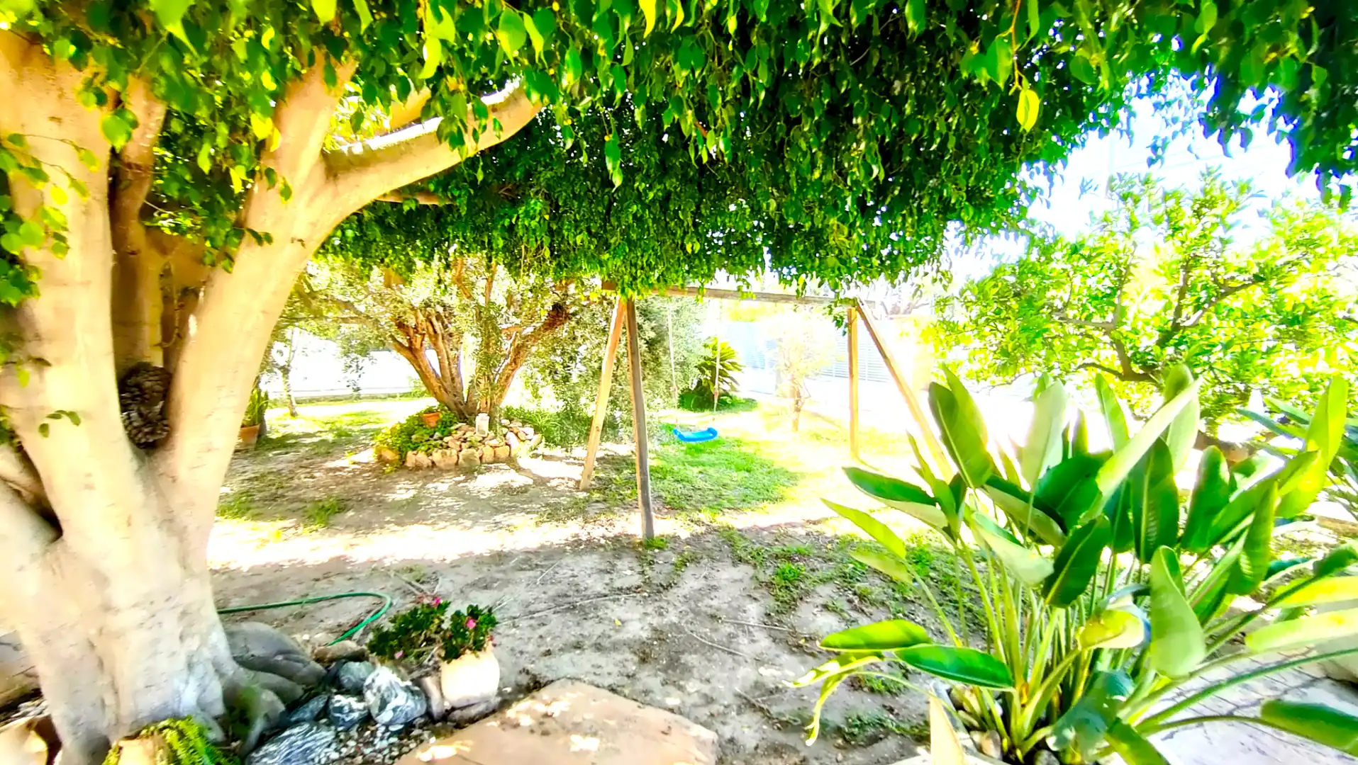 Jardí de Casa o xalet en venda en Elche / Elx amb Aire condicionat, Calefacció i Jardí privat