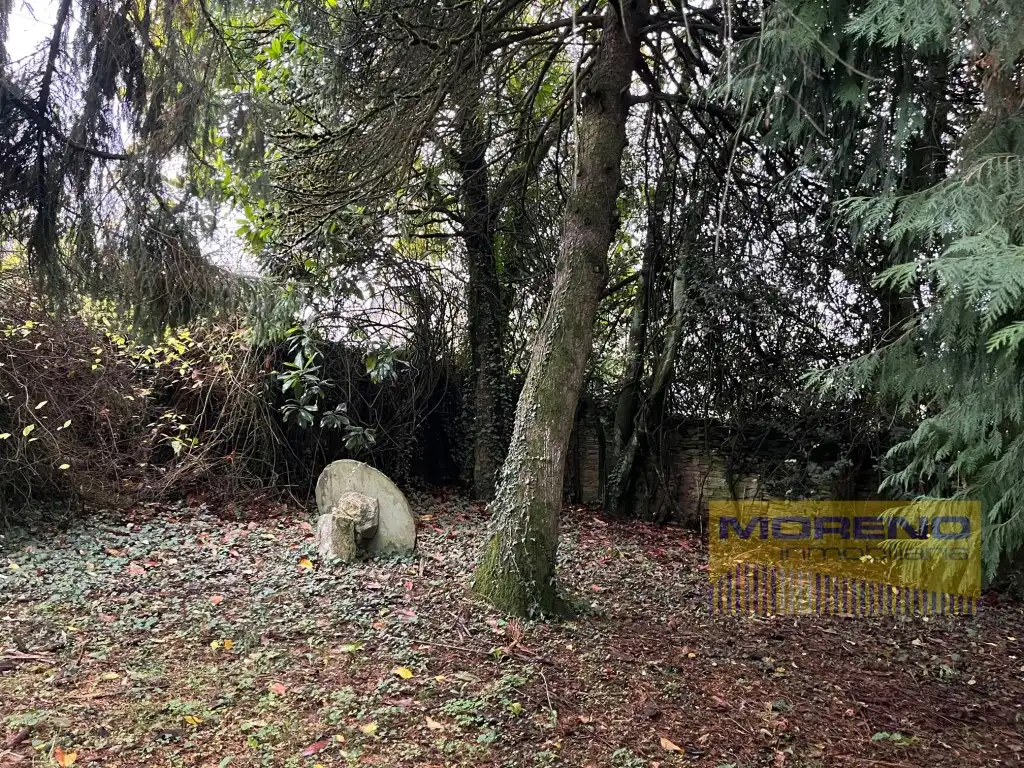 Maison à vendre à O Incio, imagen 23