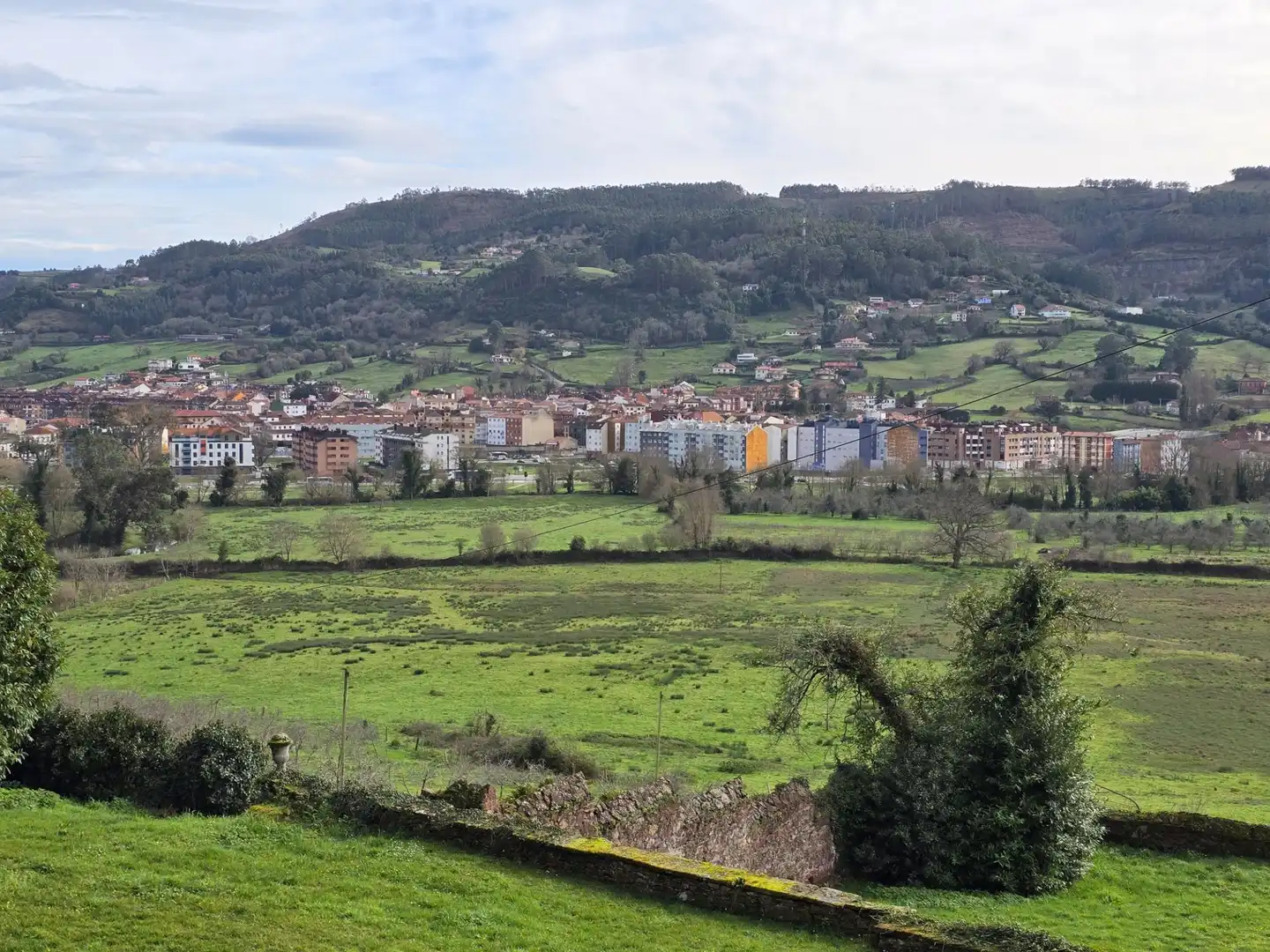 Vista exterior de Casa o chalet en venta en Villaviciosa con Calefacción y Jardín privado