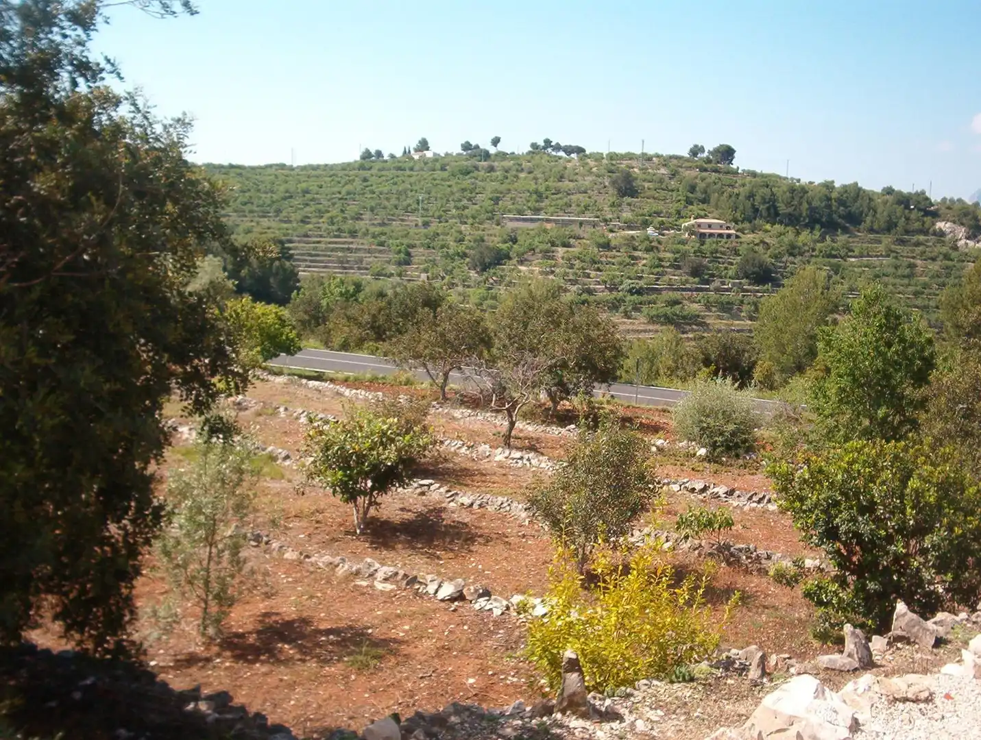 Country house for sale in Tàrbena, imagen 20