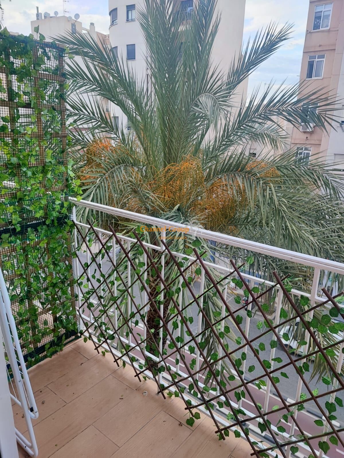 Flat to share in Centro, Elche ciudad, Elche / Elx