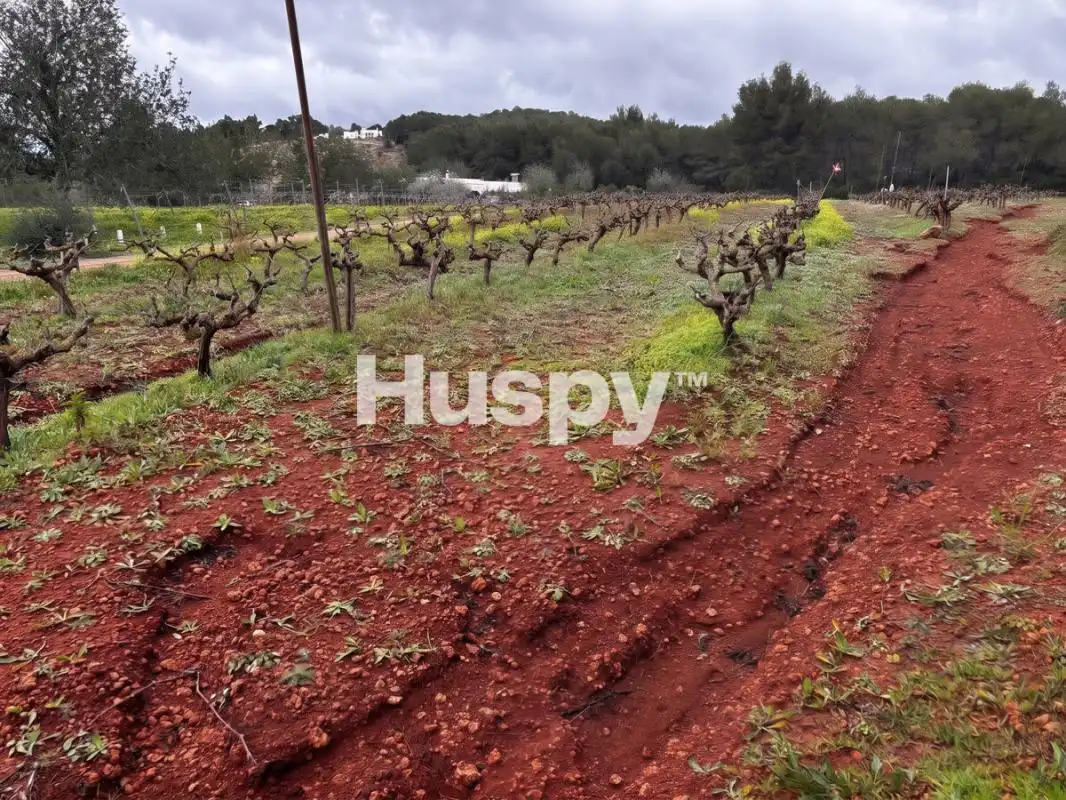 Rural land for sale in Lugar Port de Sant Miquel, imagen 5