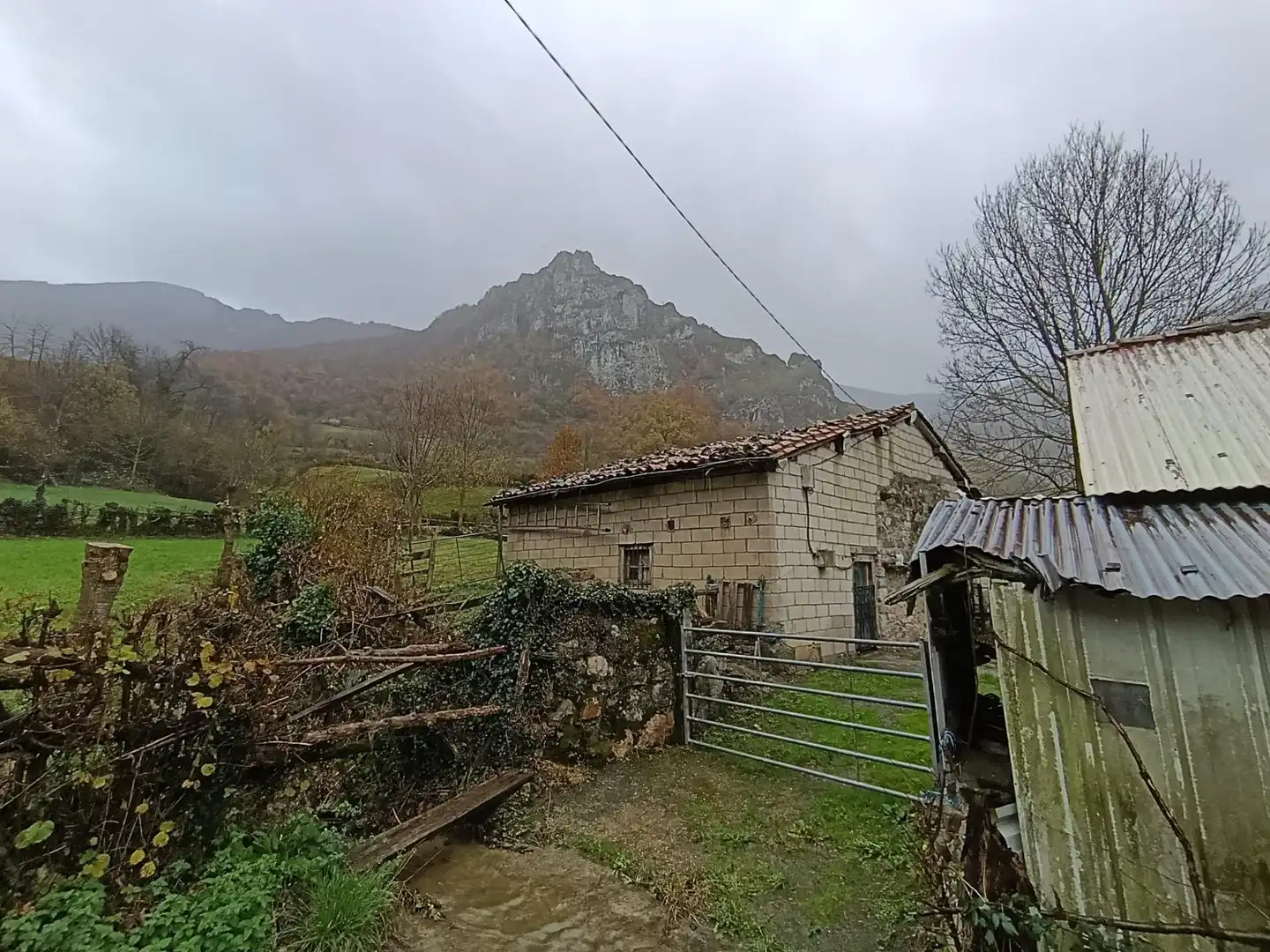 Land for sale in Aller