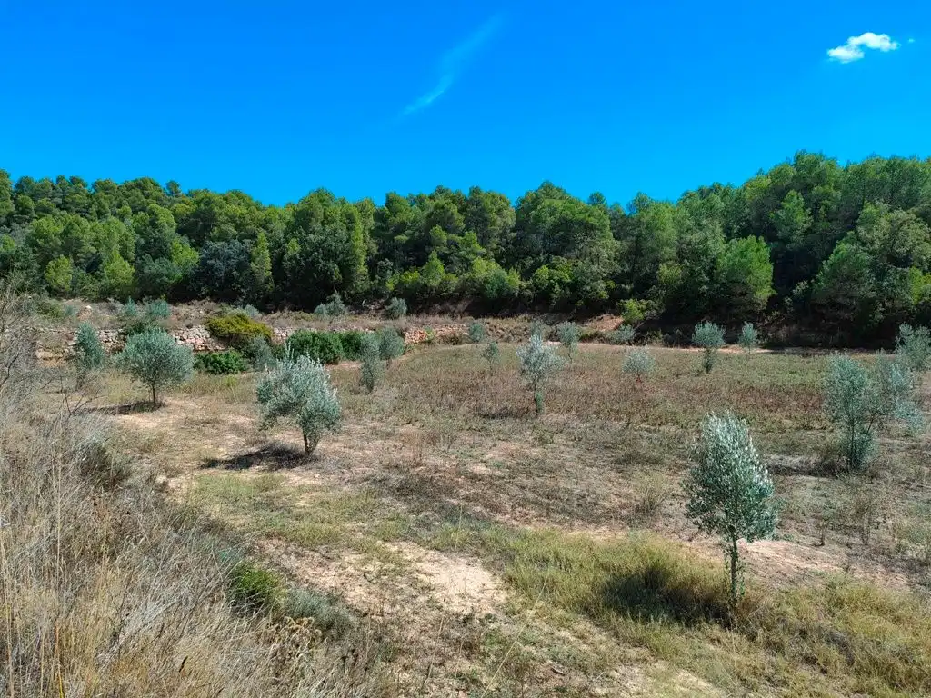 Rural land for sale in Horta de Sant Joan, imagen 3