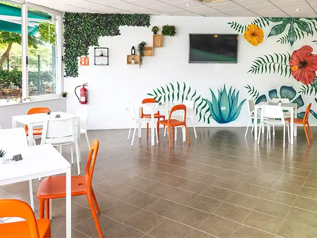 Commercial properties for transfer in Adeje  with Furnished