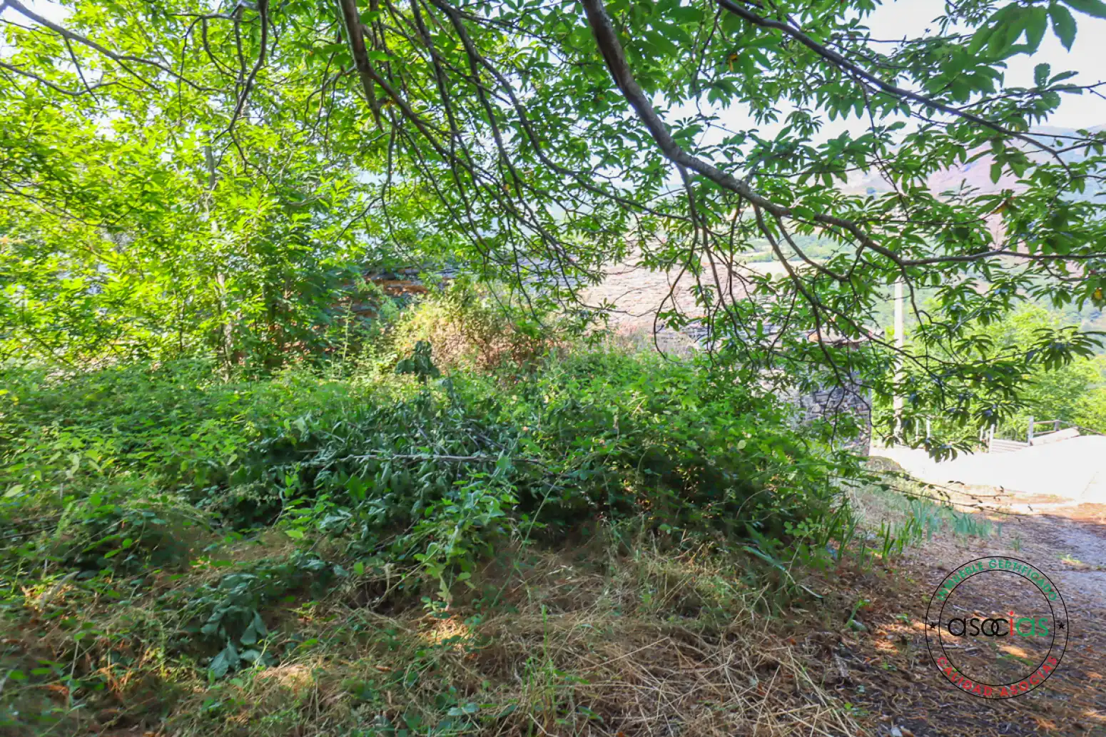 Casa o xalet en venda en Ibias