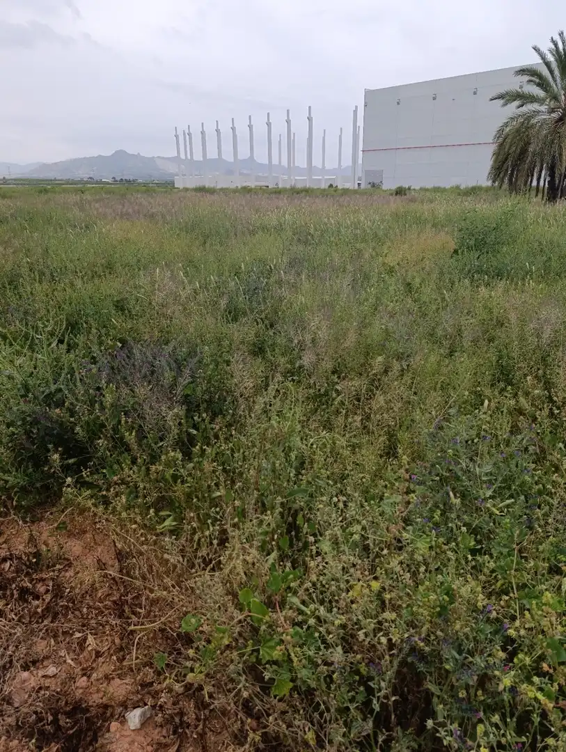 Industrial land for sale in Fortuna
