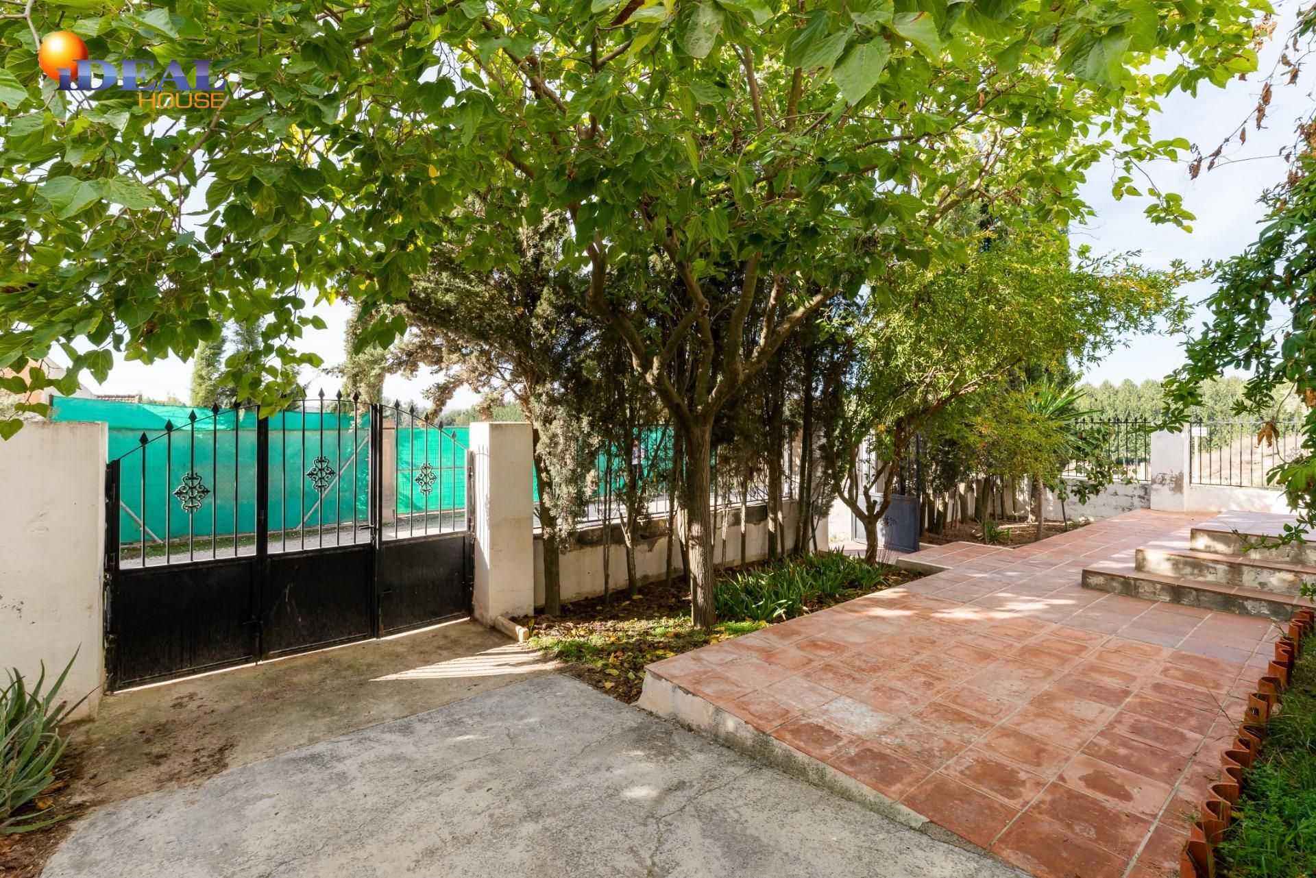 Vista exterior de Finca rústica en venda en Pinos Puente amb Jardí privat, Terrassa i Traster