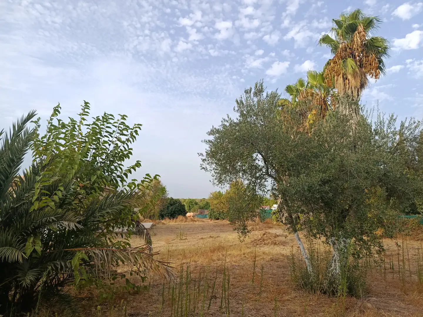 Finca rústica en venda en Hinojos amb Terrassa