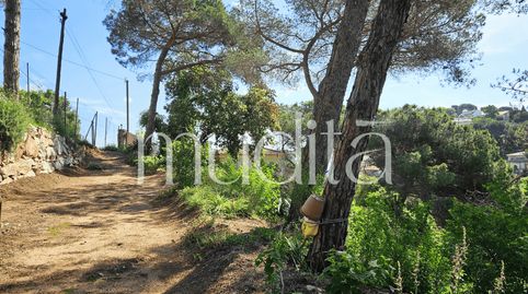 Donde nace una casa terreno en Argentona