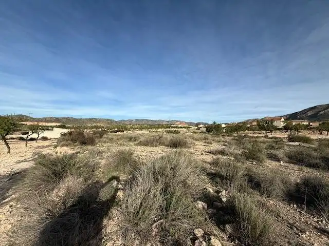 Lands and plots for sale in Abanilla, imagen 5