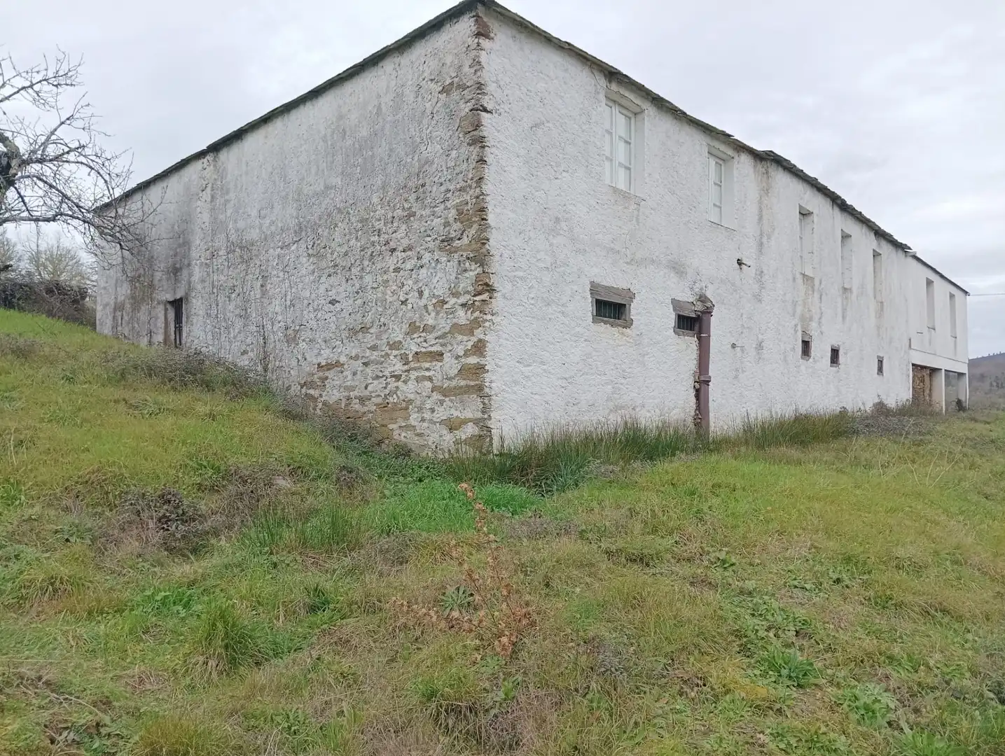 Vista exterior de Finca rústica en venta en Becerreá