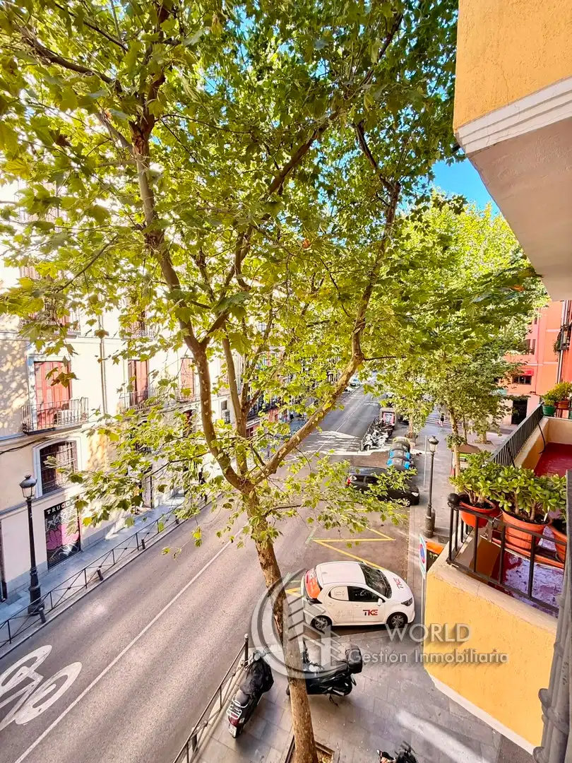 Exterior view of Flat for rent in Madrid  with Heating, Furnished and Washing machine