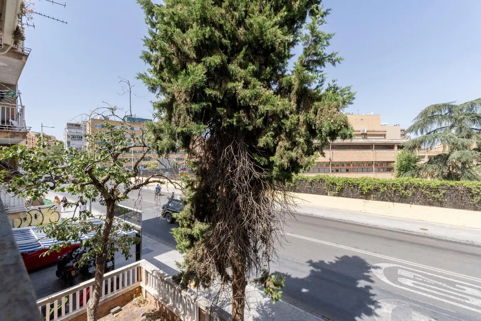 Villa con giardino in vendita a Calle FLORENCIA, imagen 15