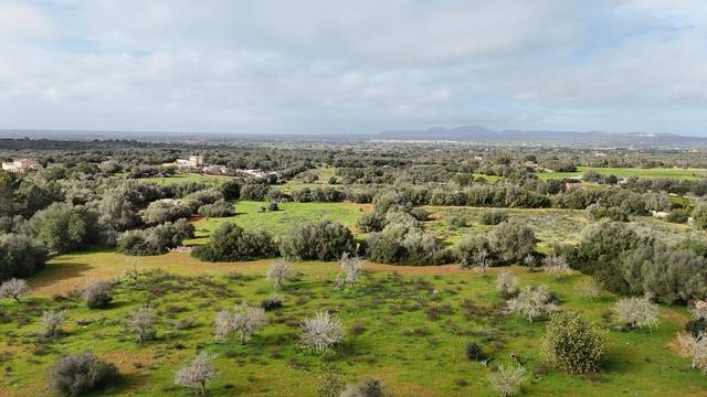 Terreno residencial en Venta en ma19 en Zona Rústica - Interior