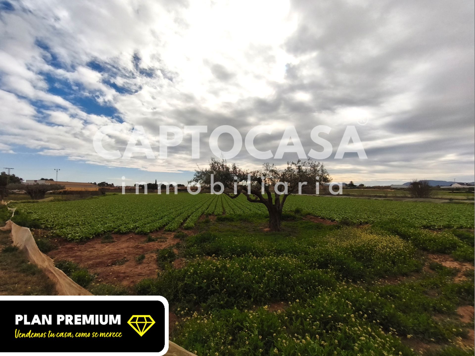 Terreno en venta en Cartagena