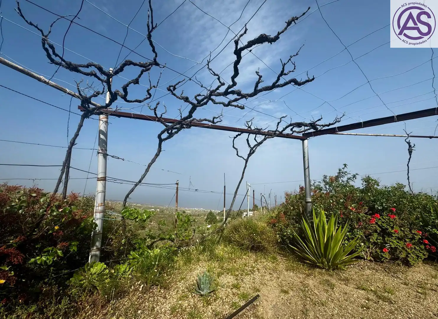 Finca rústica en venta en Fasnia