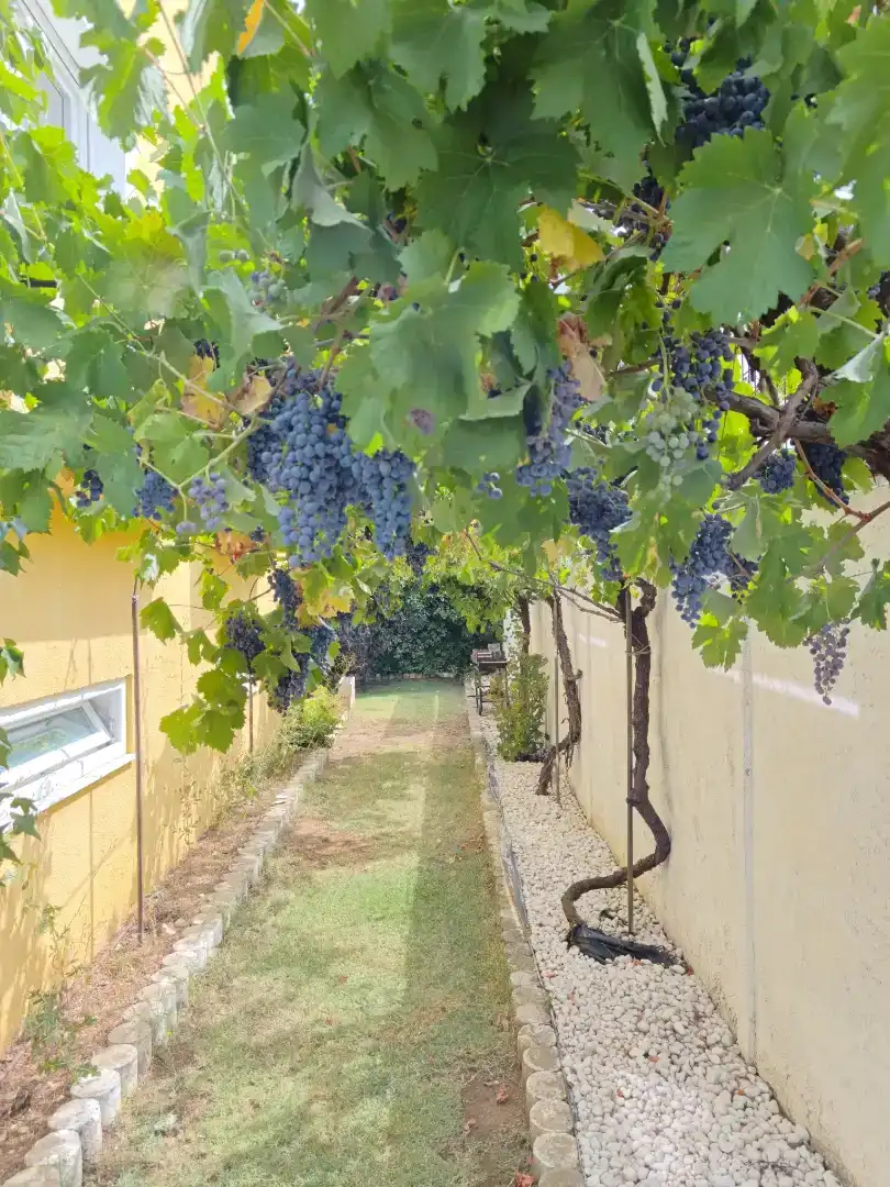 Jardí de Casa o xalet en venda en Trobajo del Cerecedo