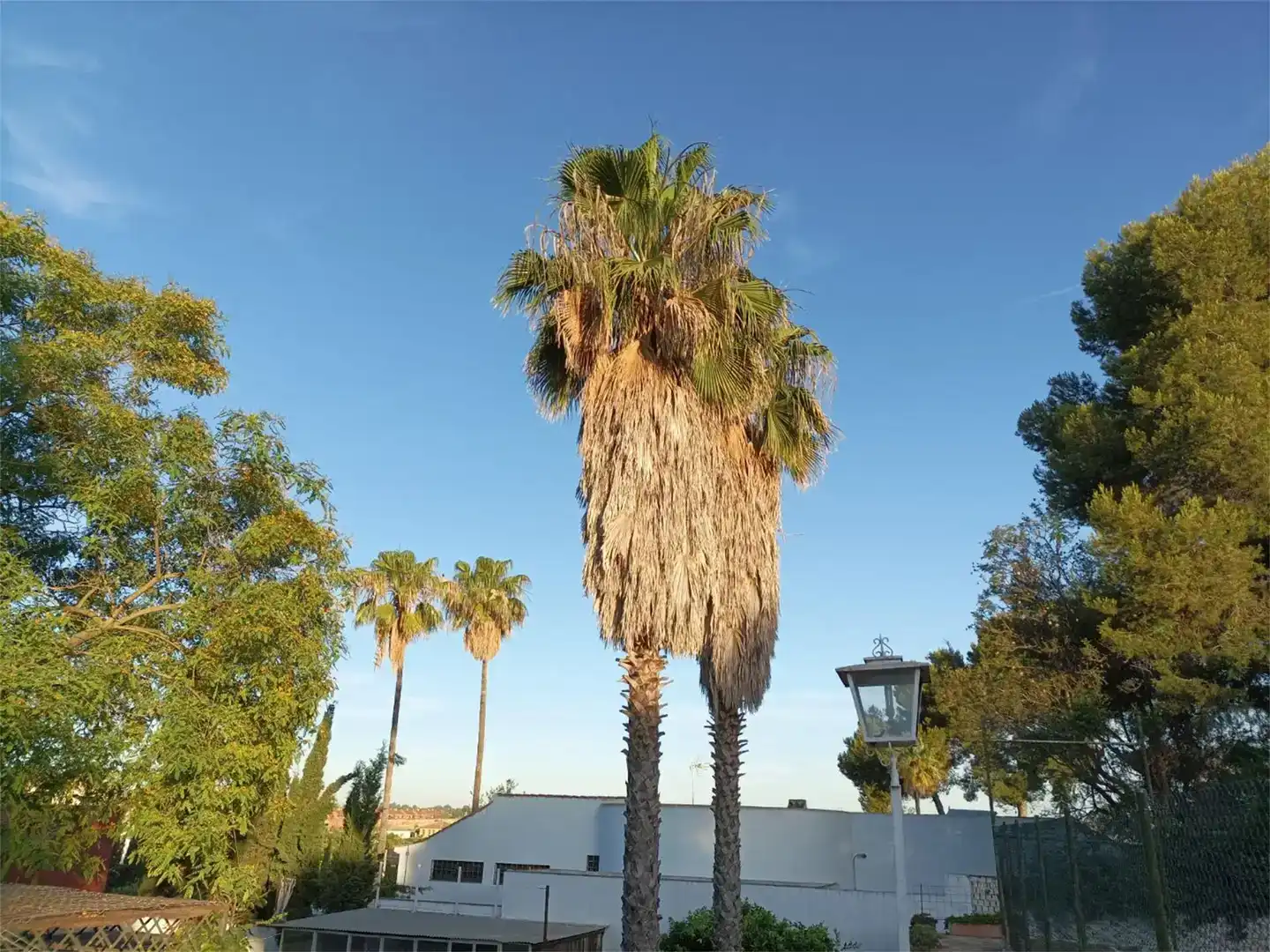 Vista exterior de Pis en venda en Alcalá de Guadaira amb Aire condicionat, Jardí privat i Traster
