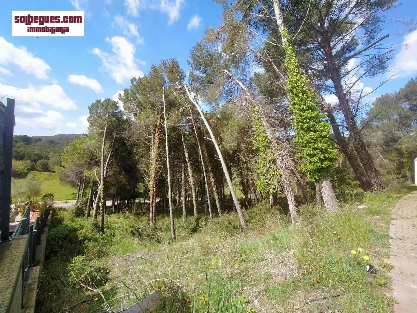 Terrenys i solars en venda a Begues, imagen 4