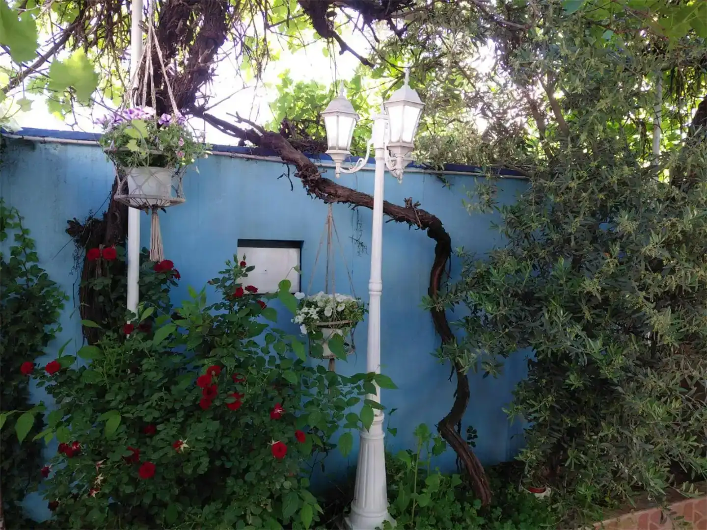 Jardín de Piso en venta en Madrid con Jardín privado y Trastero