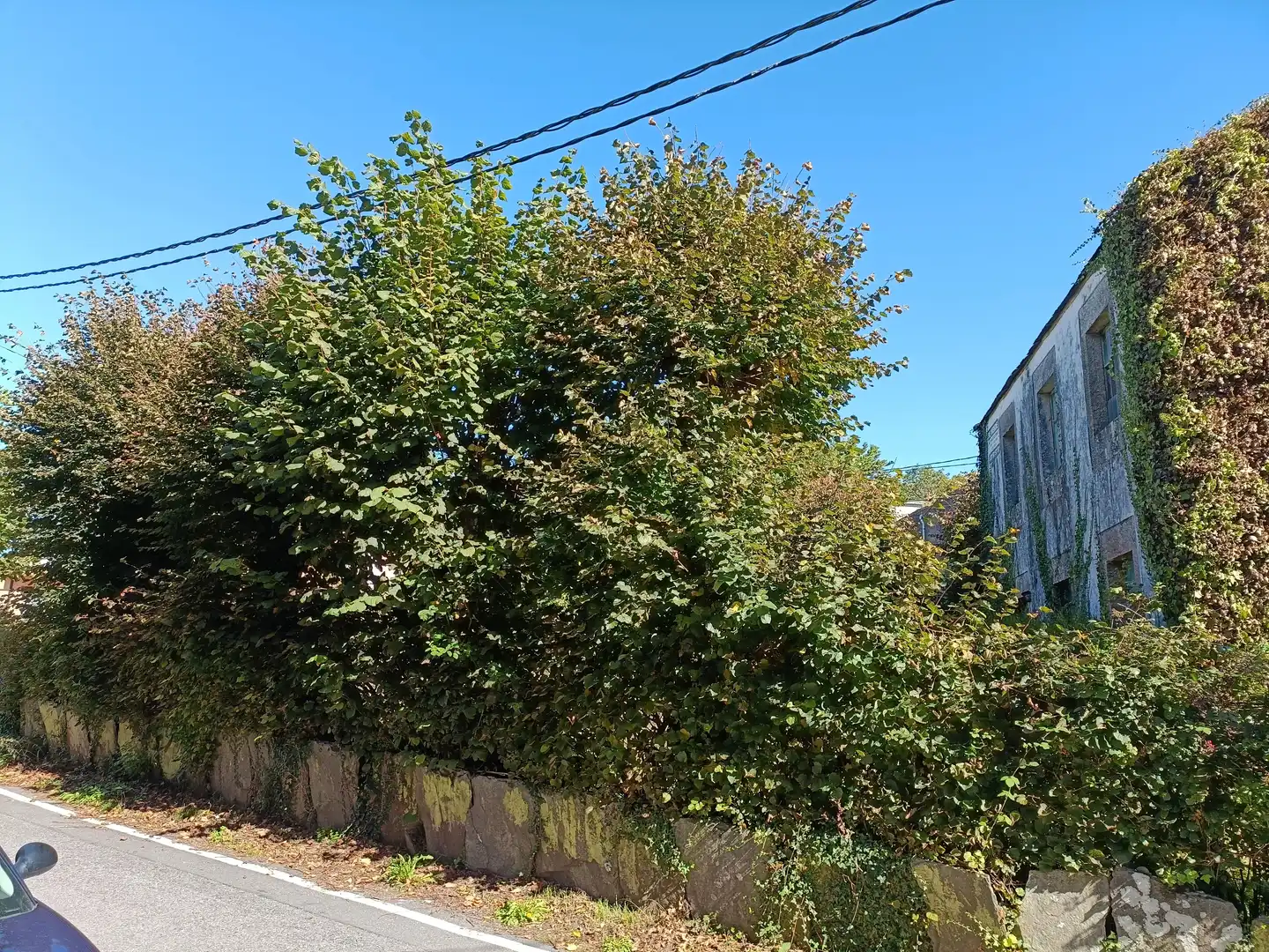 Haus mit Garten zum Verkauf in Rúa do Concello, imagen 9