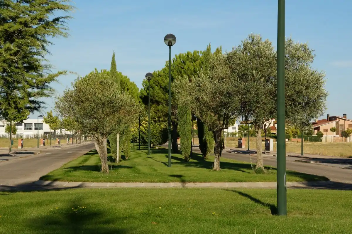 Residential land for sale in Laguna de Duero, imagen 11