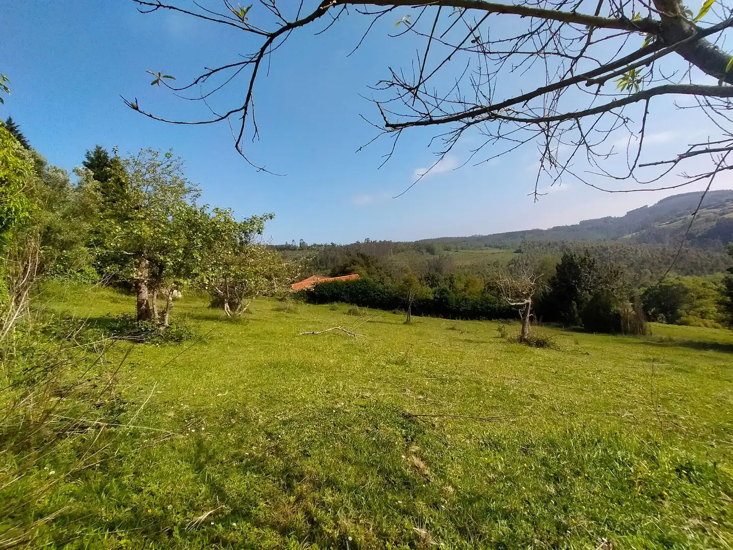 Finca rústica en venda en Cudillero amb Jardí privat, Terrassa i Traster