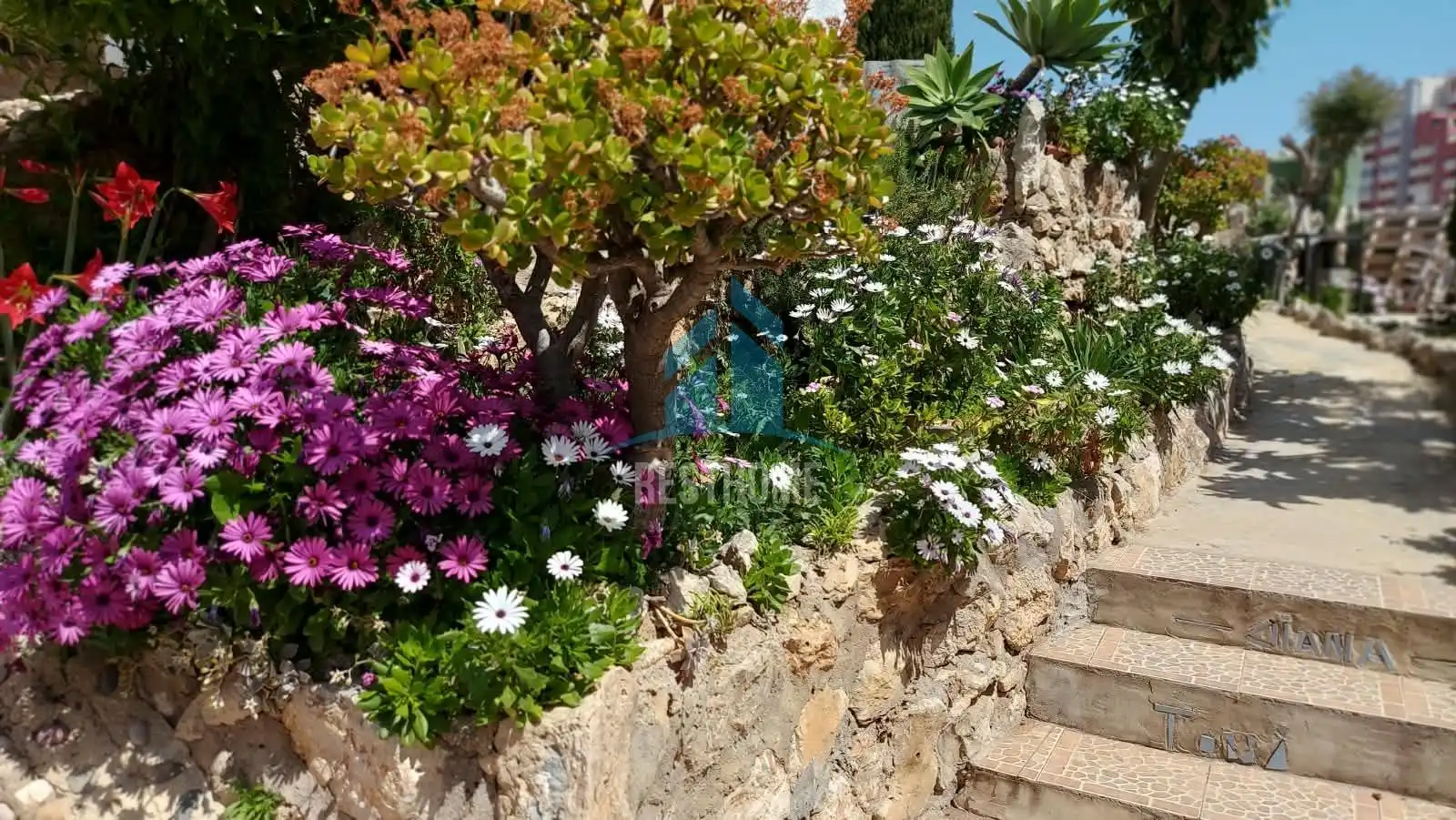Villa avec jardin à vendre à Sant Antoni, imagen 21
