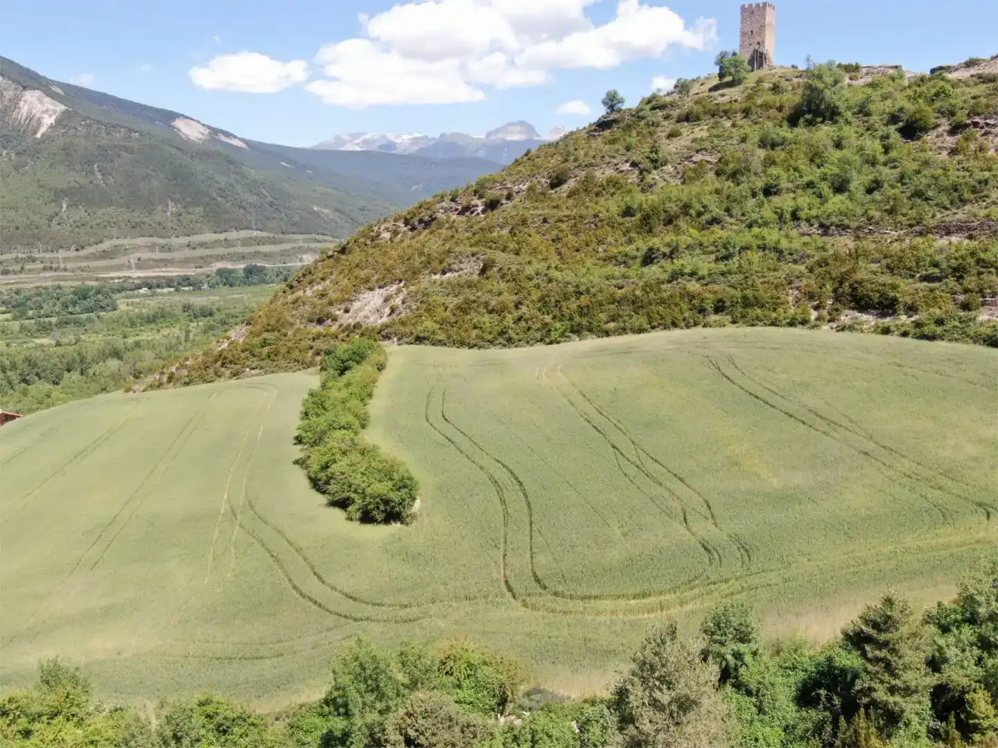 Finca rústica en venda en Sabiñánigo