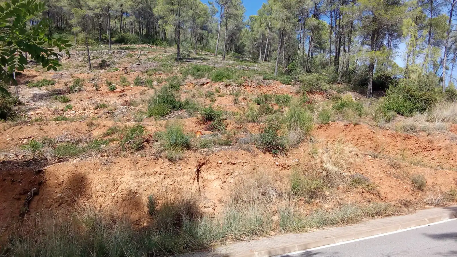 Terreny residencial en venda a Carrer d'en Joaquim Ruyra