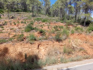 Terreno residenziale in vendita a Carrer d'en Joaquim Ruyra