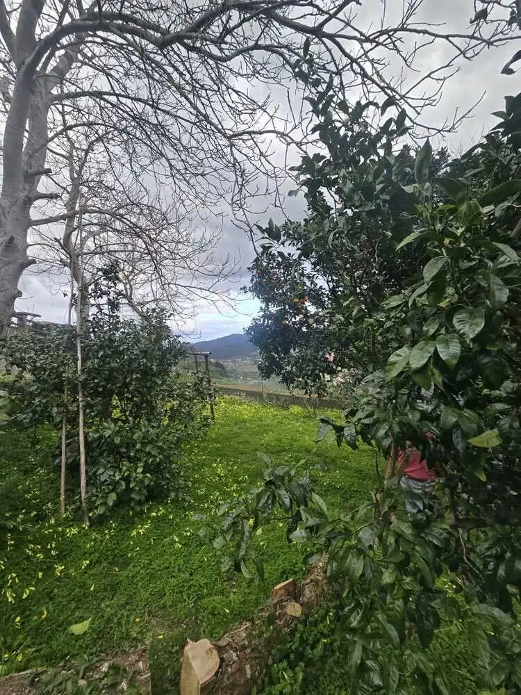 Terrenys i solars en venda a Cedeira, imagen 4