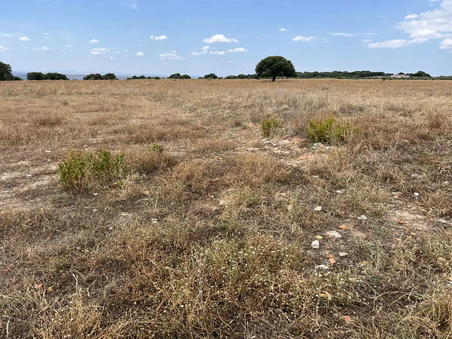 Land for sale in Calle Hernán Cortés, 20, Jaraicejo