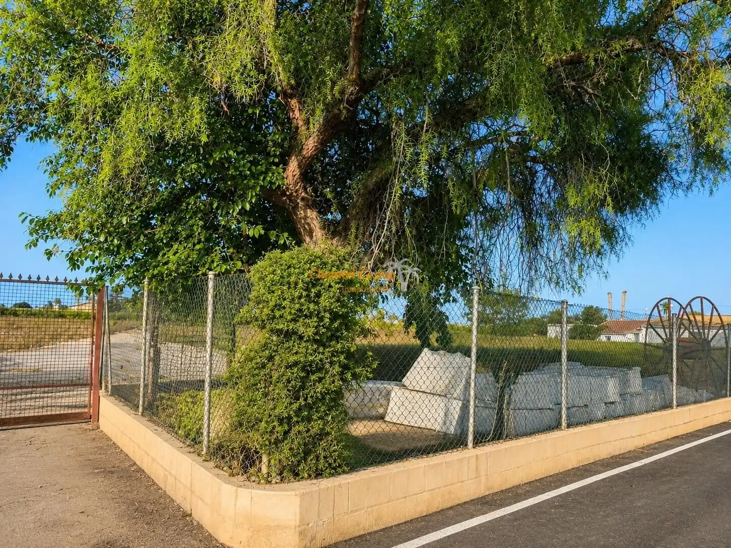 Exterior view of Land for sale in Elche / Elx