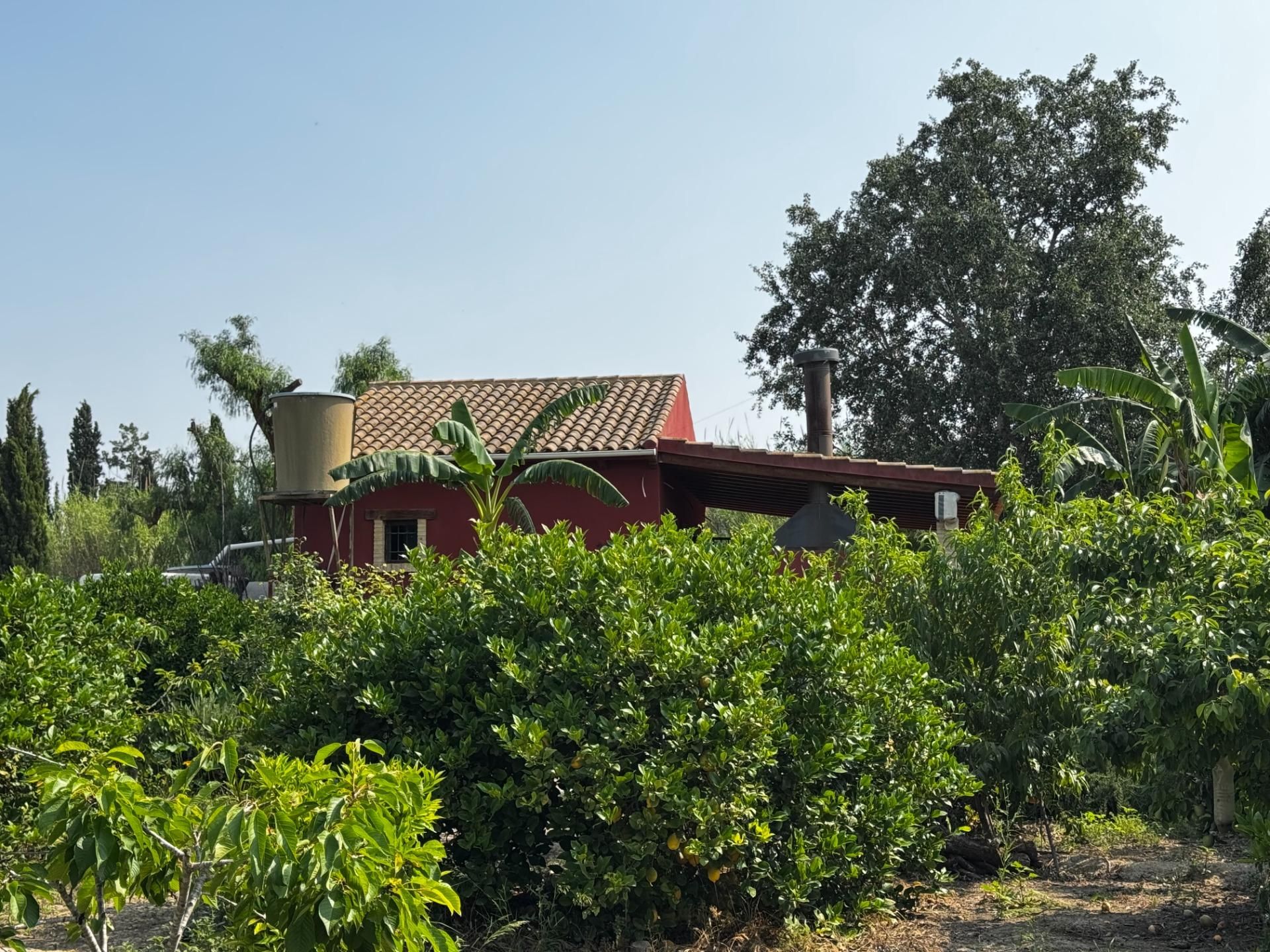 Exterior view of Country house for sale in  Murcia Capital