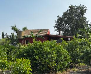 Exterior view of Country house for sale in  Murcia Capital