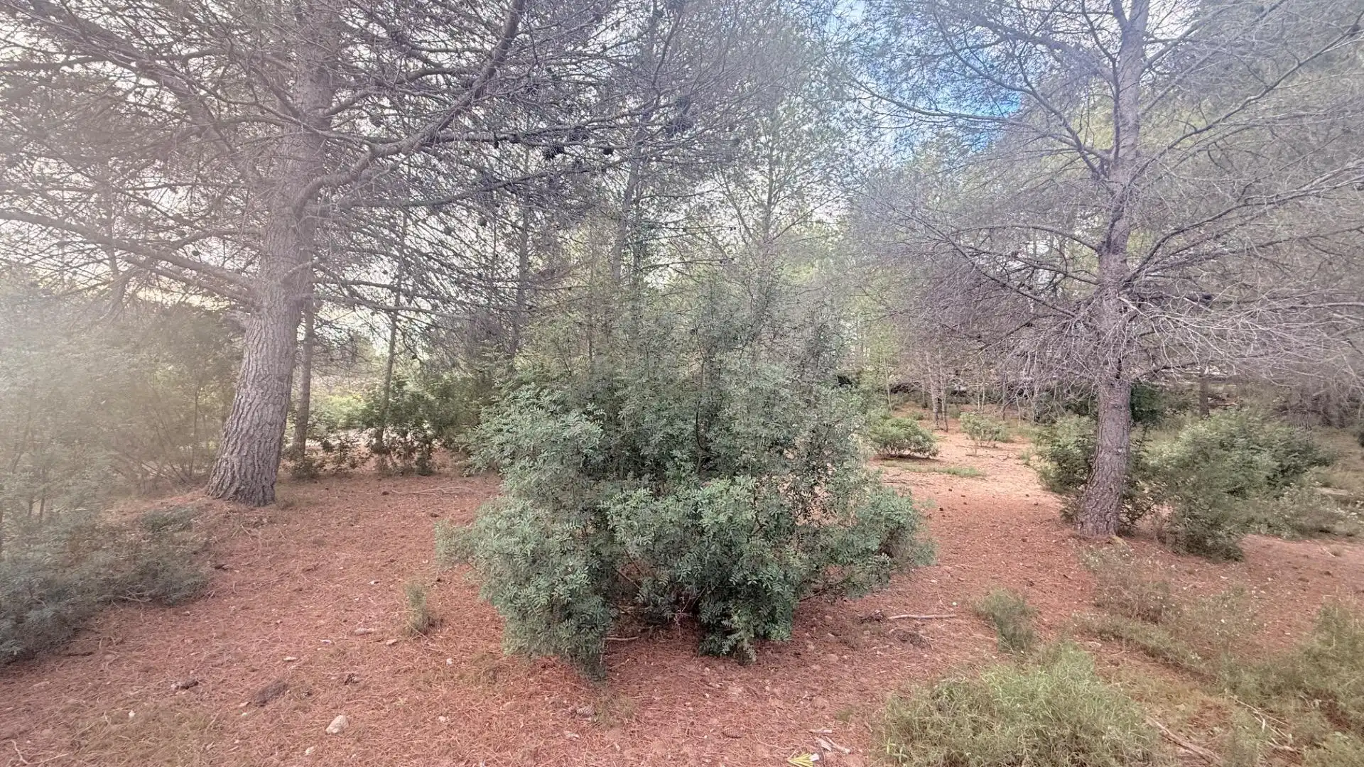 Terreny residencial en venda a Albalat dels Tarongers, imagen 3