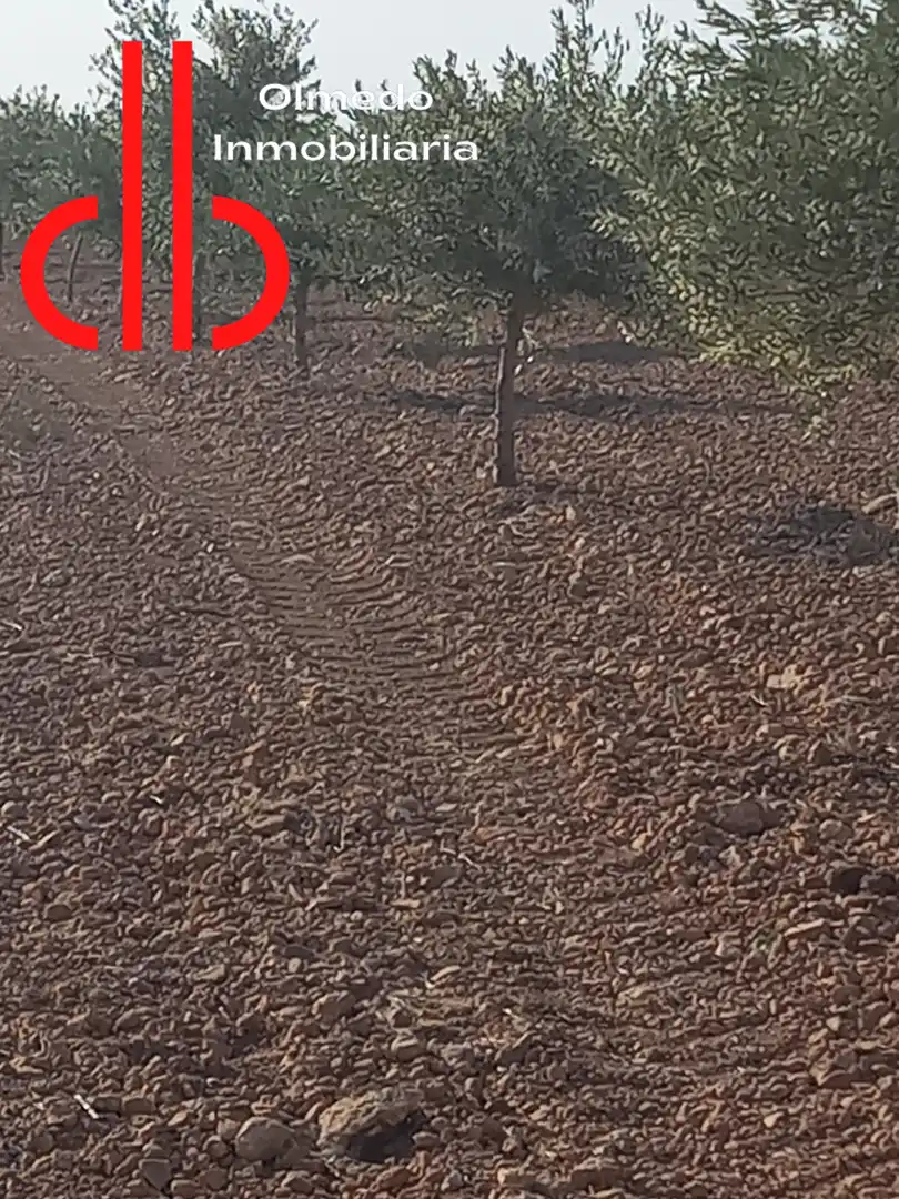Terreno rústico en venta en Tomelloso, imagen 10