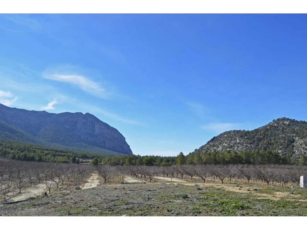 Lands and plots for sale in Pasaje Rincones y Sierra Espuña, imagen 10