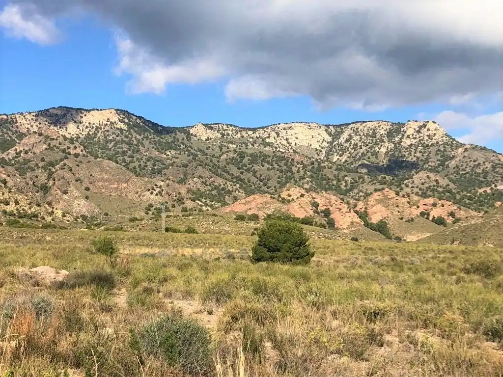 Terreno rustico in vendita a Lorca 0, imagen 7