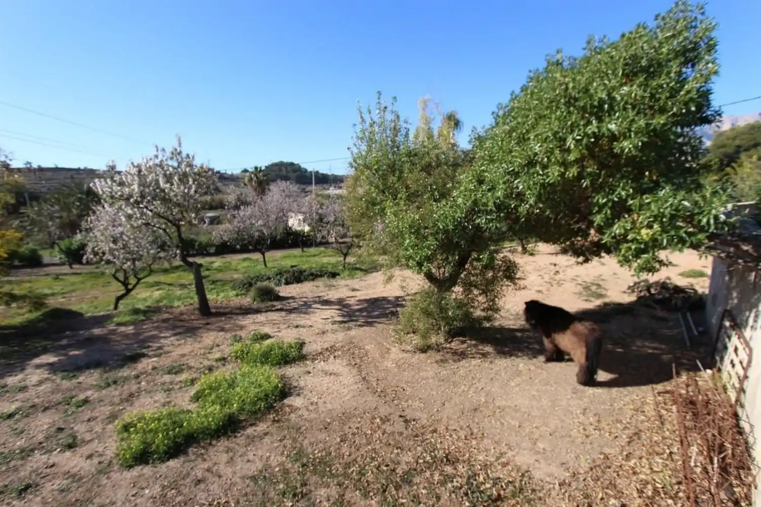 Maison à vendre à La Nucia Pueblo, imagen 42