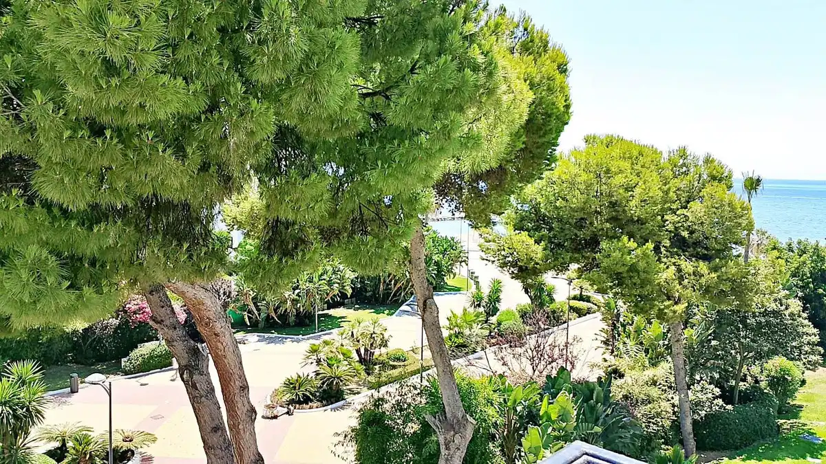 Vista exterior de Estudi en venda en Marbella amb Aire condicionat, Jardí privat i Terrassa