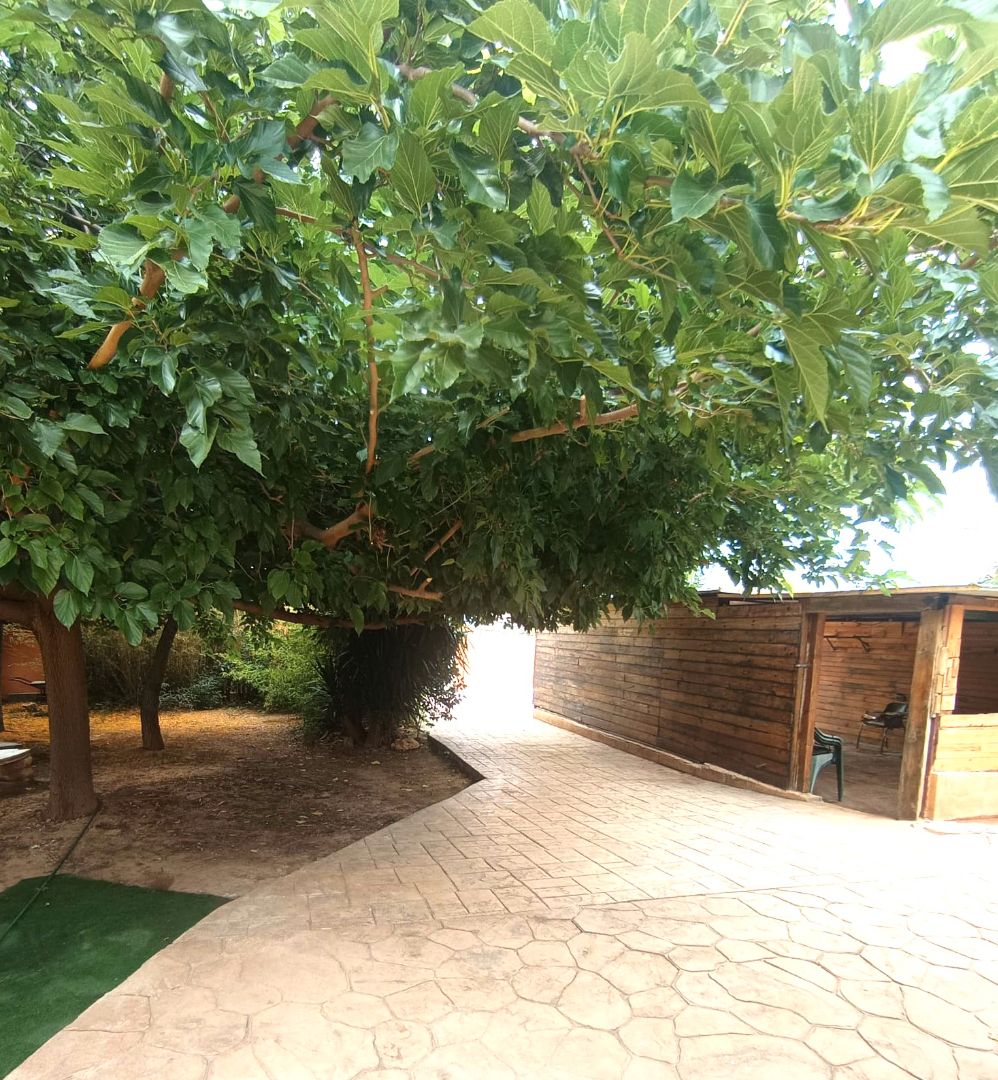 Garden of House or chalet for sale in Llíria  with Air Conditioner, Heating and Private garden
