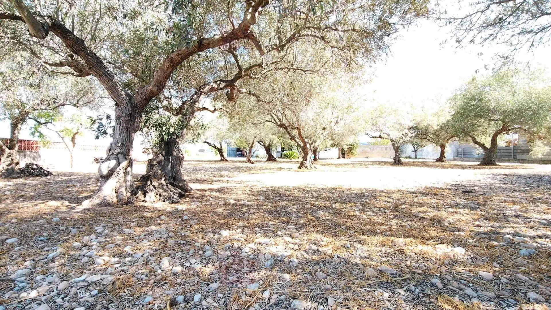 Xalet amb terrassa en venda a Boverals - Saldonar, imagen 48