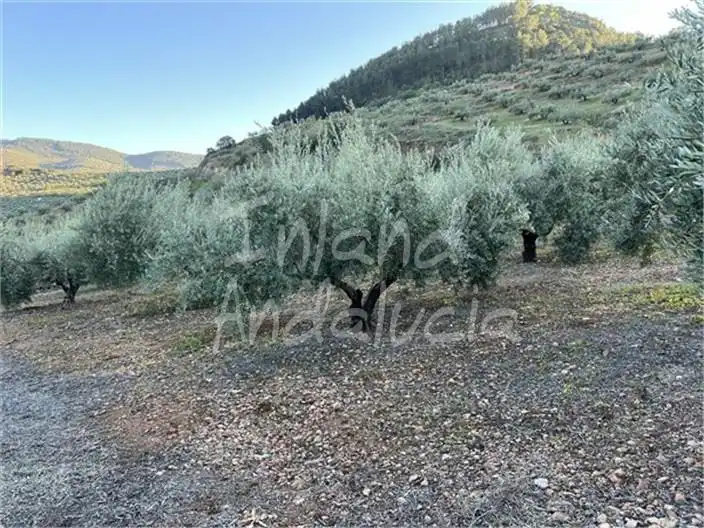 Terreni e lotti in vendita a Alcaudete, imagen 11
